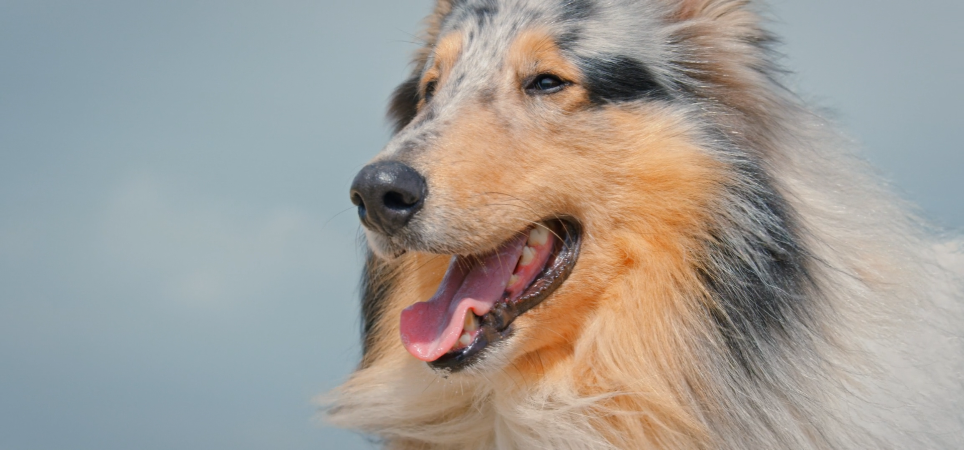 Screenshot 2025-06-10 133436