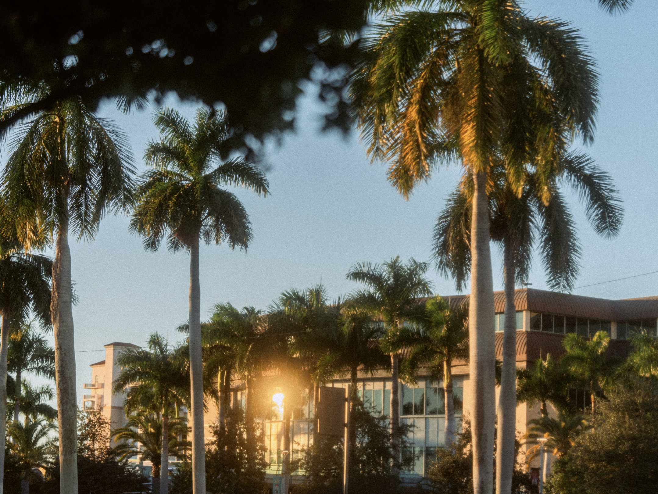 Screenshot 2026-01-27 at 11.13.12 AM