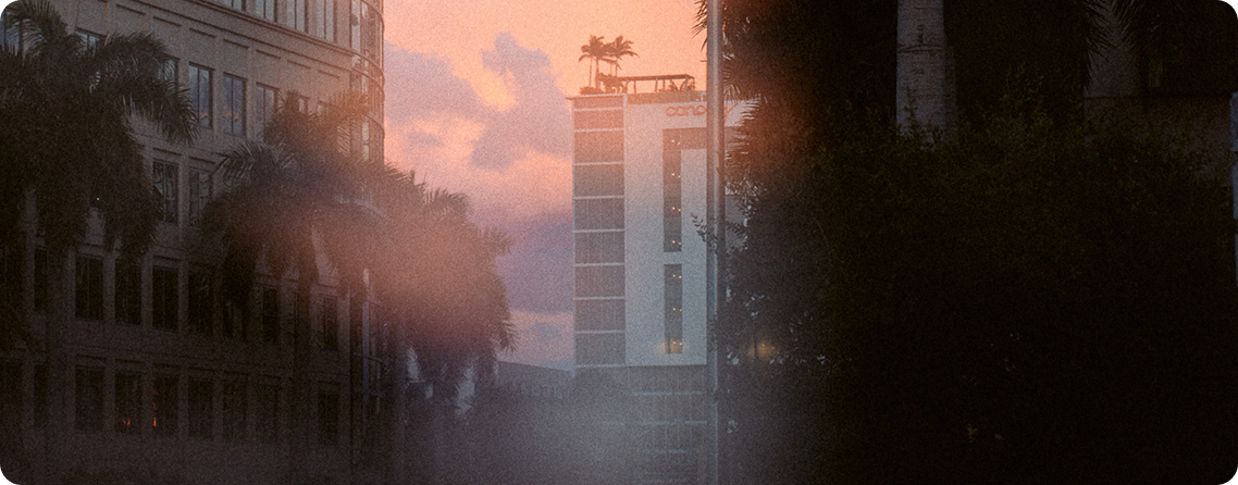 THAT_Carouse-5
